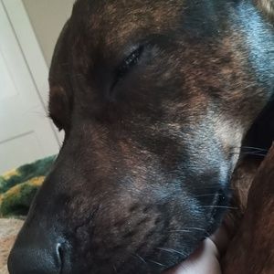 Meet your Posher, Christiana